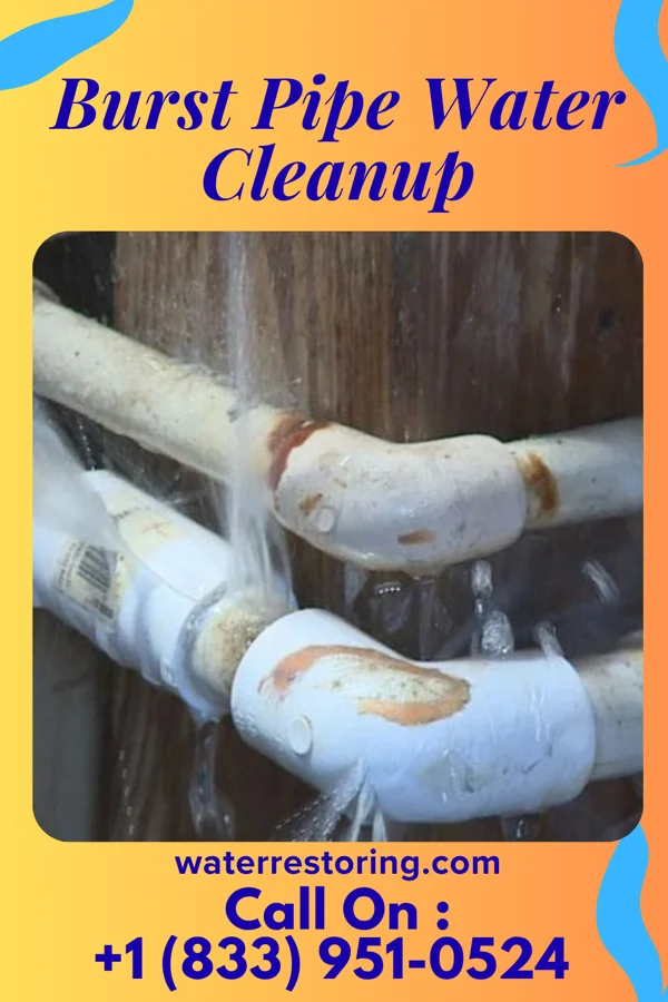 Burst Pipe Water Cleanup in Loch Lloyd, MO