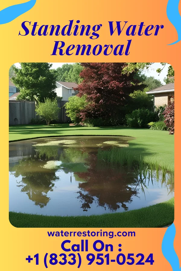 Standing Water Removal in Loch Lloyd, MO